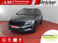 Skoda Karoq Style 2.0TDI DSG 285,-ohne Anzahlung AHK Travel S Grau - thumbnail 1