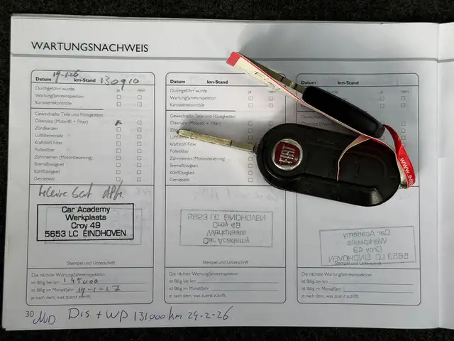 Fiat Punto Evo view 13