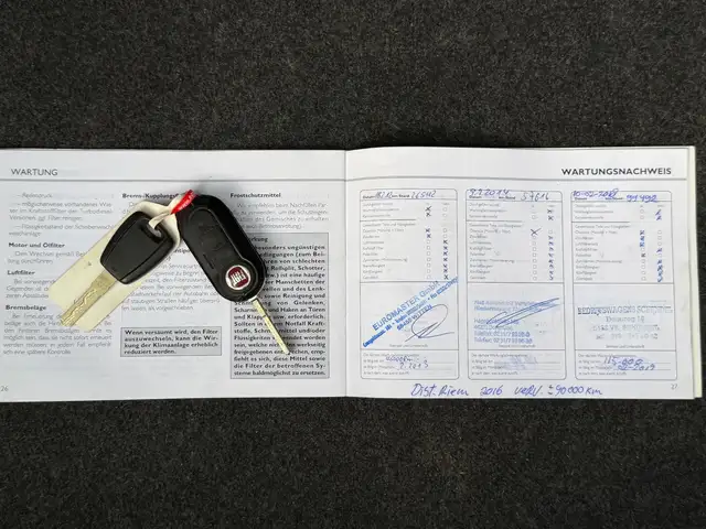Fiat Punto Evo view 14