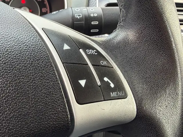 Fiat Punto Evo view 24