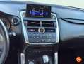 Lexus NX 300 300h Business 2WD Rojo - thumbnail 7