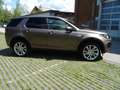 Land Rover Discovery Sport HSE-Top Ausstattung-Luftfahrwerk Braun - thumbnail 19