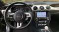 Ford Mustang FASTBACK VI BULLITT BLACK SHADOW EDITION Noir - thumbnail 15