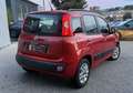 Fiat Panda 1.2 8V 69CH EASY Rouge - thumbnail 3