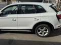 Audi Q5 50 TFSI e quattro S tronic Bianco - thumbnail 13