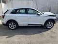 Audi Q5 50 TFSI e quattro S tronic Bianco - thumbnail 12