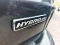 Ford Kuga FHEV Hybrid ST-LineX 4x4 Autom/Assitenz/AHK Grigio - thumbnail 6