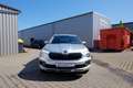 Skoda Kamiq 1.0 TSI DSG Selection Kam/SHZ/AppC/PDC/17Z Plateado - thumbnail 8