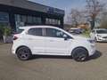 Ford EcoSport 1.0 EcoBoost 125 CV Start&Stop ST-Line Bianco - thumbnail 12