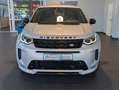 Land Rover Discovery Sport P250 R-Dynamic AWD*AHK*Panorama Silber - thumbnail 4