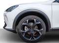 CUPRA Formentor 1.5 TSI DSG VIRTUAL*LED*ACC*PARKLENK*KAMERA*HEC... Weiß - thumbnail 18