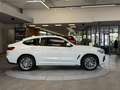 BMW X4 20d M-Sport xDrive Aut. *Head-up*Pano*Kamera* Weiß - thumbnail 4