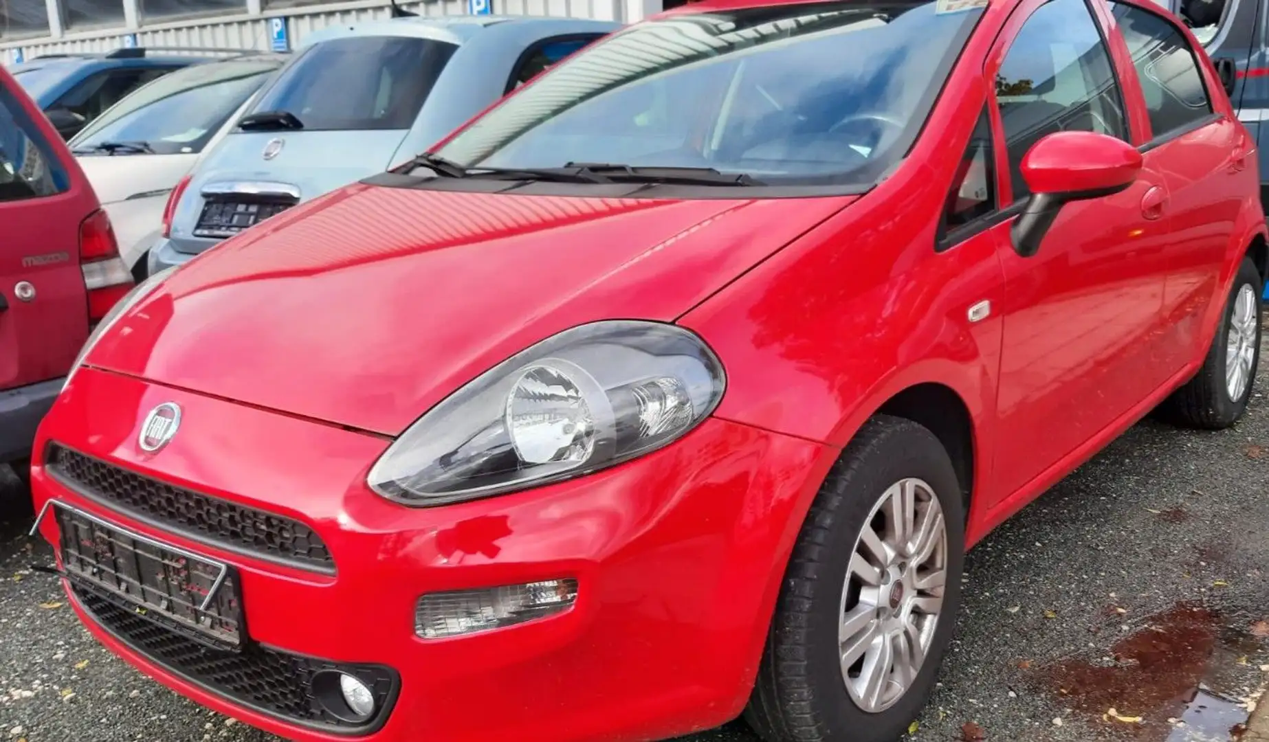 Fiat Punto Lounge 1,4 8V Erstbesitz Scheckheft Rot - 1