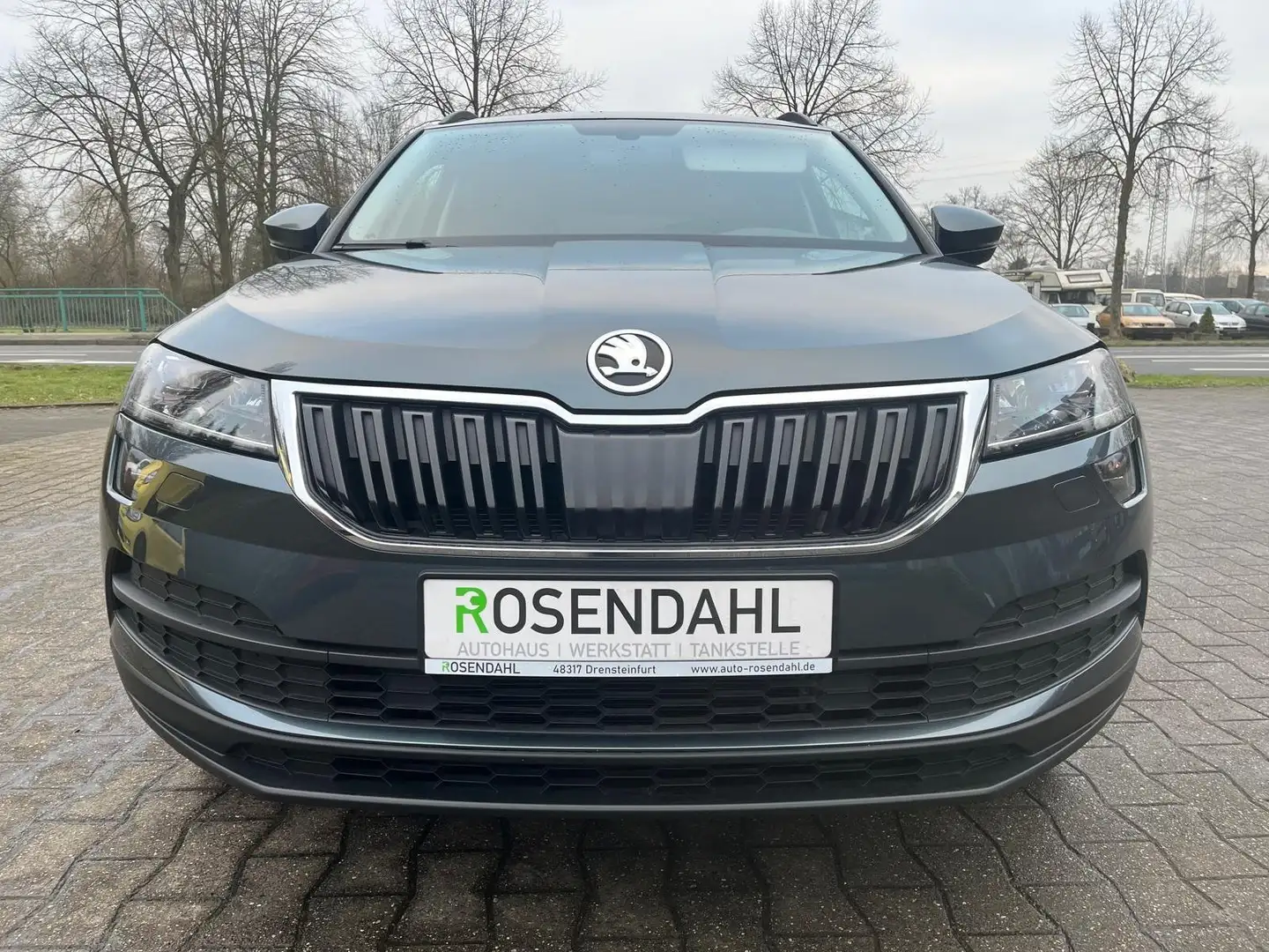 Skoda Karoq Ambition Navi DSG Gris - 2