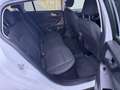 Ford Focus 1.5 EcoBoost ST ACTIVE Auto./Navi/Clim/GAR 12m Bianco - thumbnail 7