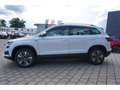 Skoda Karoq 1.5 TSI Tour DSG Navi ACC Matrix AHK DAB SHZ Kamer Weiß - thumbnail 3