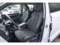 Skoda Karoq 1.5 TSI Tour DSG Navi ACC Matrix AHK DAB SHZ Kamer Weiß - thumbnail 18