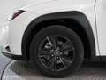 Lexus UX 250h Business 2WD - thumbnail 11