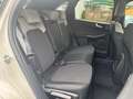 Ford Kuga Sound Editon 2.5 PHEV Auto./AHK/ACC/MATRIX Weiß - thumbnail 13