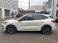 Ford Kuga Sound Editon 2.5 PHEV Auto./AHK/ACC/MATRIX Weiß - thumbnail 5