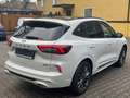 Ford Kuga Sound Editon 2.5 PHEV Auto./AHK/ACC/MATRIX Weiß - thumbnail 8