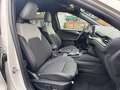 Ford Kuga Sound Editon 2.5 PHEV Auto./AHK/ACC/MATRIX Weiß - thumbnail 12