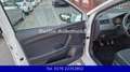 SEAT Ibiza Style-Navi-Alus-Pdc-5Türer-Shz Blanc - thumbnail 15