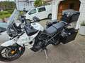 Triumph Tiger 800 XRX Weiß - thumbnail 5