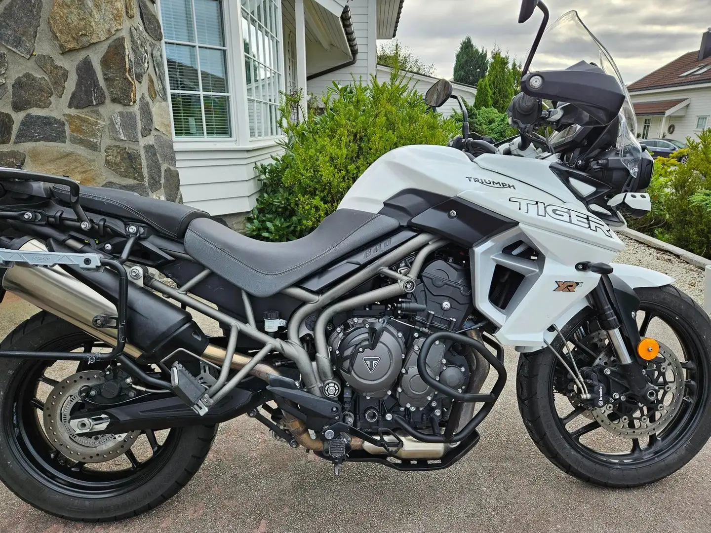 Triumph Tiger 800 XRX Weiß - 2