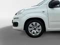Fiat Panda 0.9 TwinAir Popstar Wit - thumbnail 7