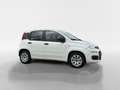 Fiat Panda 0.9 TwinAir Popstar Wit - thumbnail 3