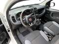 Fiat Panda 0.9 TwinAir Popstar Blanc - thumbnail 8