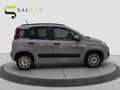 Fiat Panda 1.2 Benzina 69 CV Lounge 2021 Gris - thumbnail 7