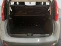 Fiat Panda 1.2 Benzina 69 CV Lounge 2021 Gris - thumbnail 16
