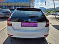 Skoda Rapid/Spaceback *** Frisch Vorgeführt *** Ambition Weiß - thumbnail 8