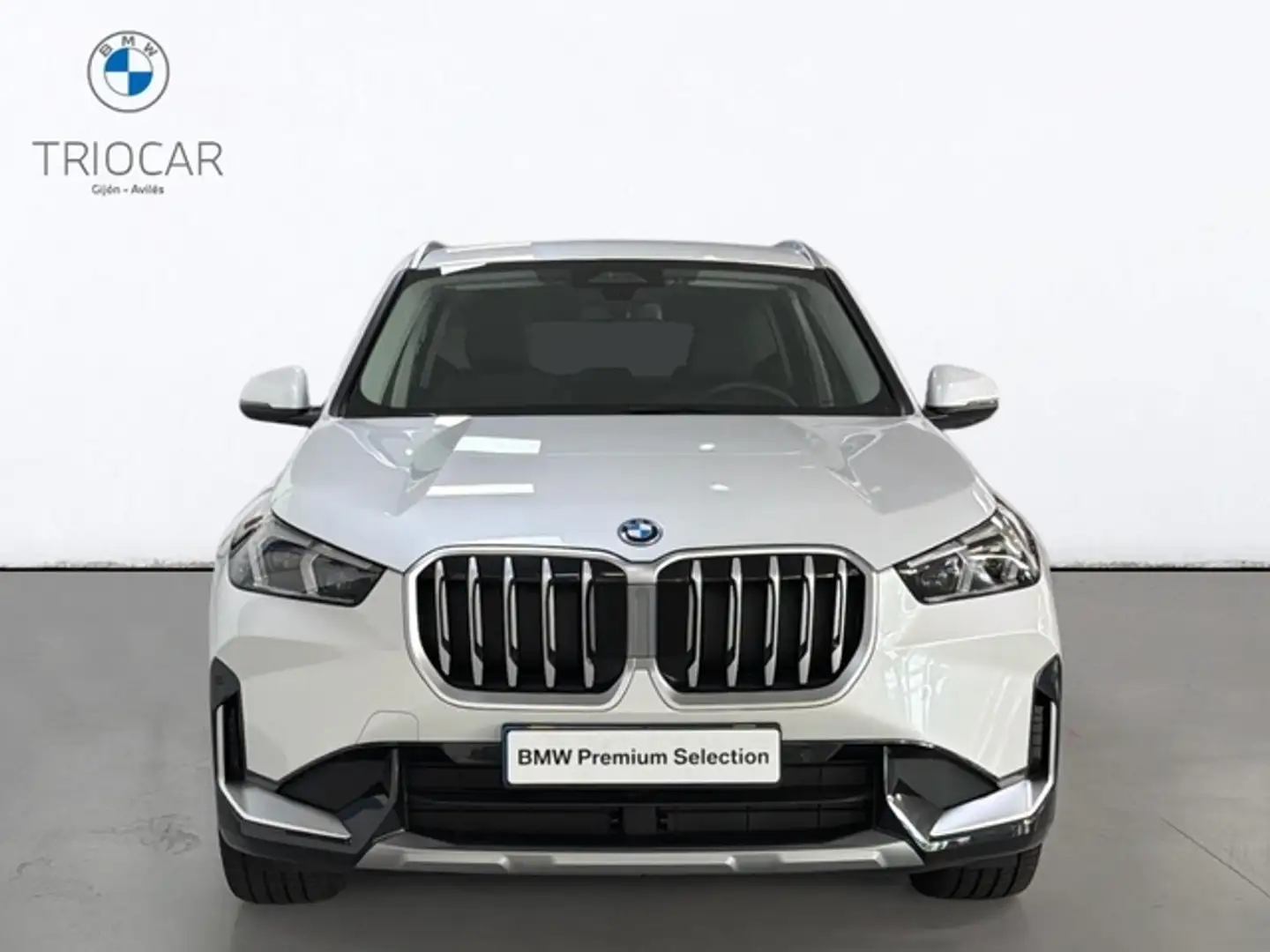 BMW X1 xDrive25e 180 kW (245 CV) - 2