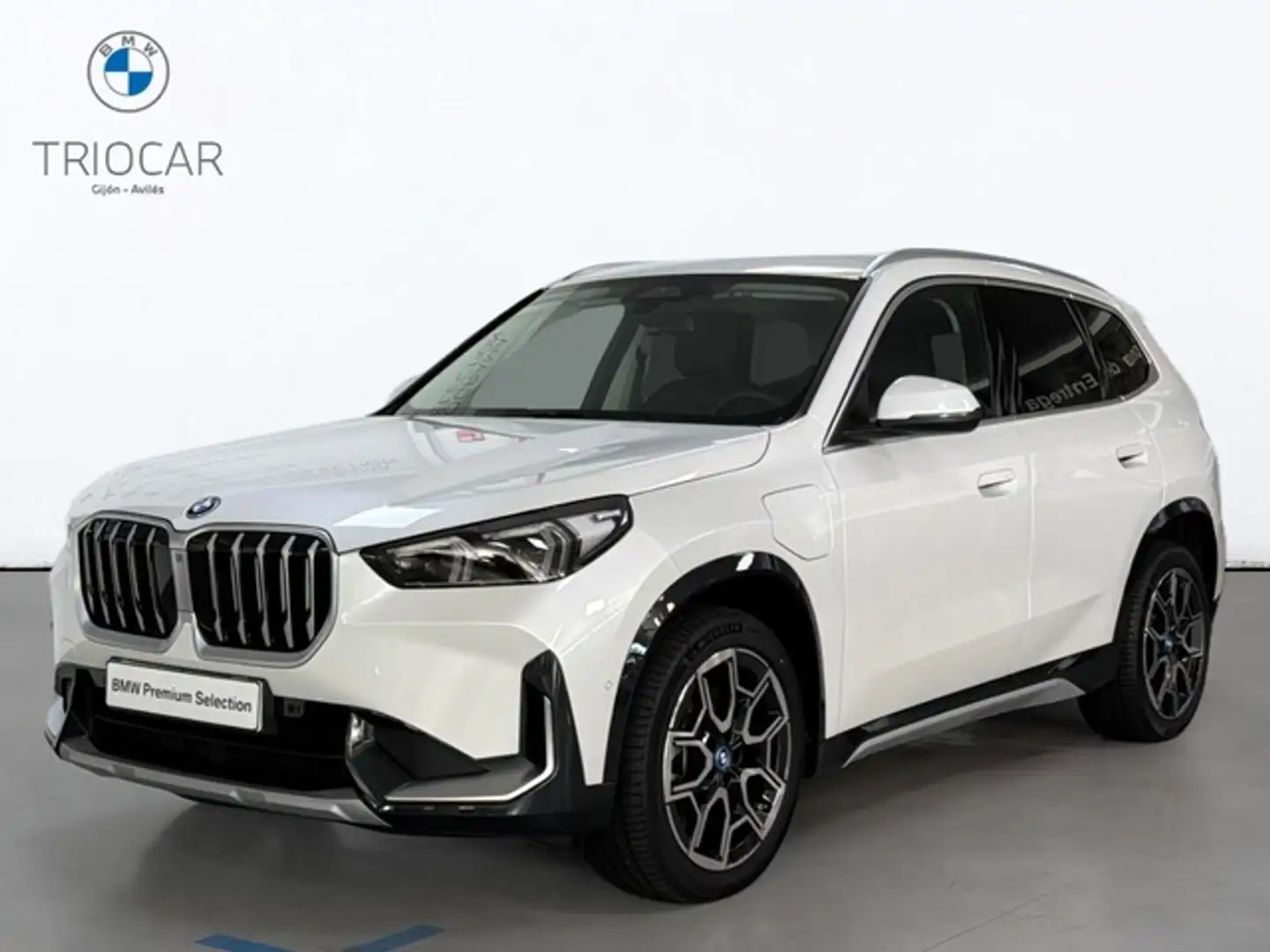BMW X1 xDrive25e 180 kW (245 CV) - 1