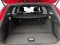 Ford Focus Turnier 1.0 EcoBoost Hybrid Aut. ST-LINE Rot - thumbnail 5