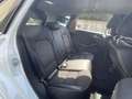 Mercedes-Benz B Electric Drive Classe B - T242 Sport e (Electric Drive) Wit - thumbnail 27