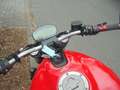 Ducati Monster 821 - thumbnail 6