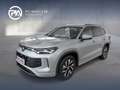 Volkswagen Tayron Friends eTSI DSG Silber - thumbnail 1