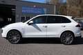Porsche Cayenne Diesel 3.0 TDI Platinum Edition/Panorama Weiß - thumbnail 3