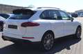 Porsche Cayenne Diesel 3.0 TDI Platinum Edition/Panorama Weiß - thumbnail 5