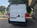 Fiat Ducato alto passo medio 2021 euro 6d tenp mjt 2.3 Blanc - thumbnail 5