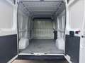 Fiat Ducato alto passo medio 2021 euro 6d tenp mjt 2.3 Blanc - thumbnail 8