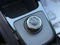Dacia Spring Business Electric 45 Grigio - thumbnail 11
