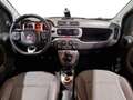 Fiat Panda Cross 1.3 MJT 95 CV S&S 4x4 NEOPATENTATI Verde - thumbnail 10