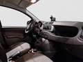 Fiat Panda Cross 1.3 MJT 95 CV S&S 4x4 NEOPATENTATI Verde - thumbnail 11