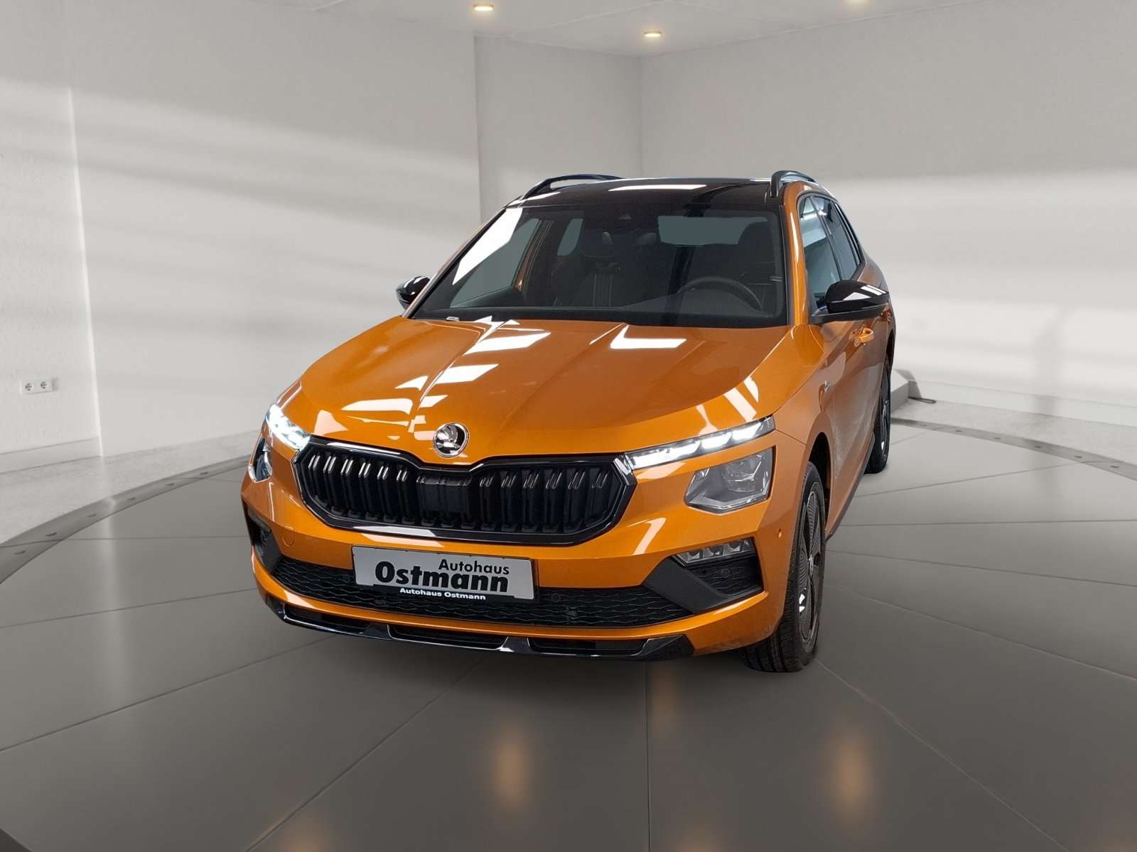 Skoda Kamiq occasion