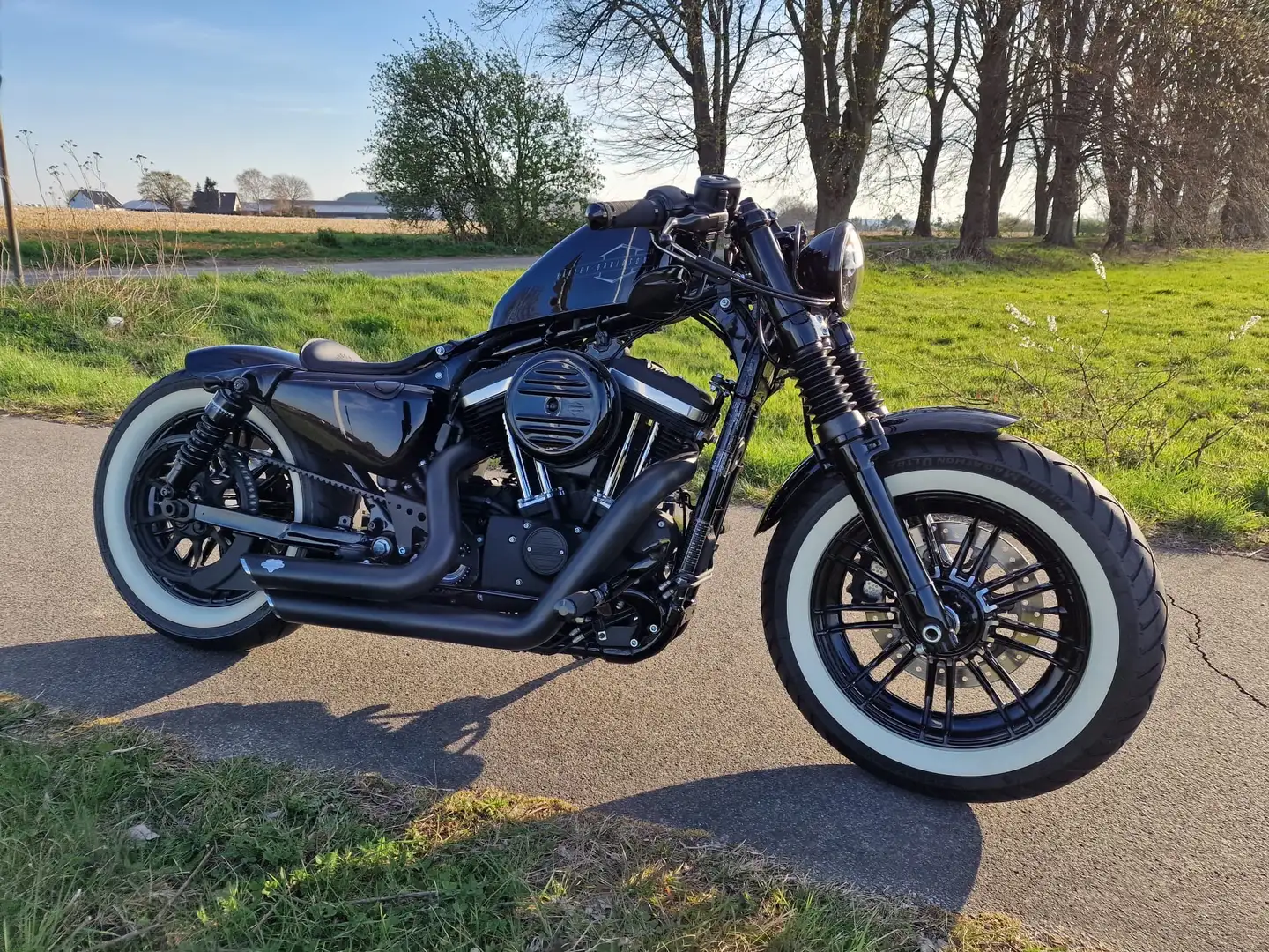 Harley-Davidson 1200 Custom Kompletter Neuaufbau durch Profi Schwarz - 2